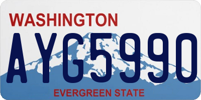 WA license plate AYG5990