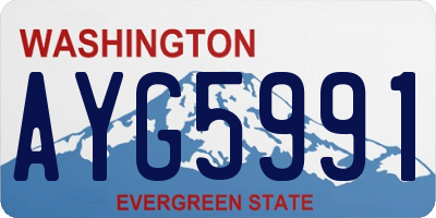WA license plate AYG5991