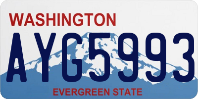 WA license plate AYG5993