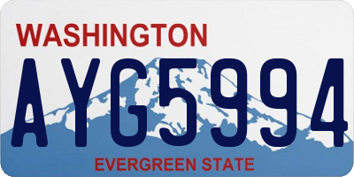 WA license plate AYG5994