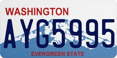 WA license plate AYG5995