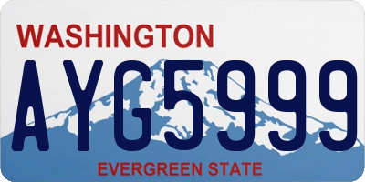 WA license plate AYG5999