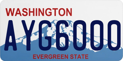 WA license plate AYG6000