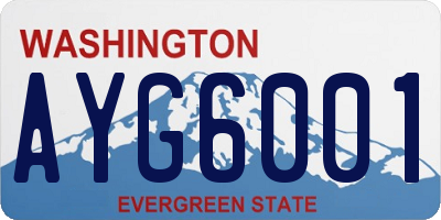 WA license plate AYG6001