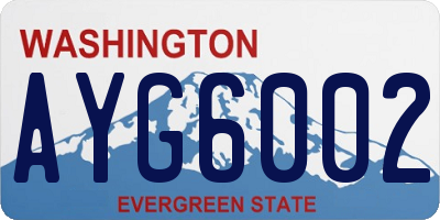 WA license plate AYG6002