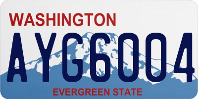 WA license plate AYG6004