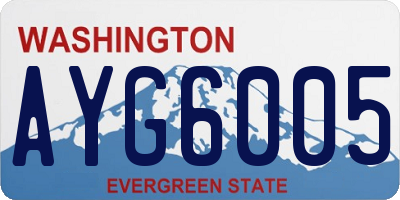 WA license plate AYG6005