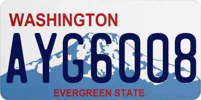 WA license plate AYG6008
