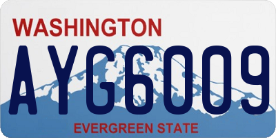 WA license plate AYG6009