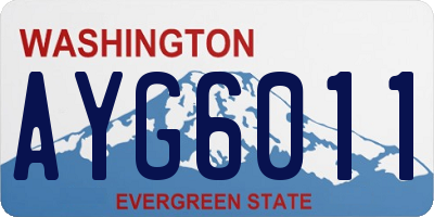 WA license plate AYG6011
