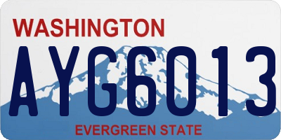 WA license plate AYG6013