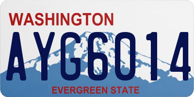 WA license plate AYG6014