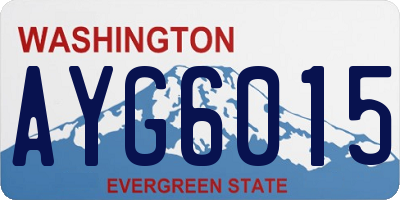 WA license plate AYG6015