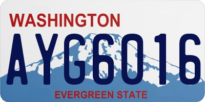 WA license plate AYG6016