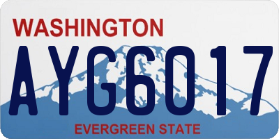 WA license plate AYG6017