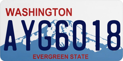 WA license plate AYG6018