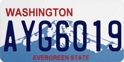 WA license plate AYG6019