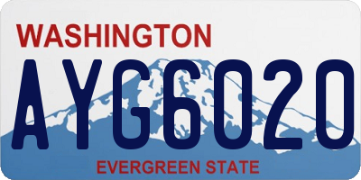 WA license plate AYG6020
