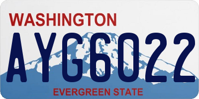 WA license plate AYG6022