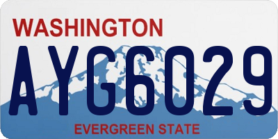 WA license plate AYG6029