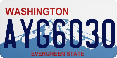 WA license plate AYG6030
