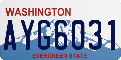 WA license plate AYG6031