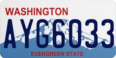 WA license plate AYG6033
