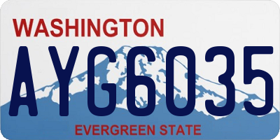 WA license plate AYG6035