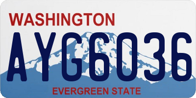 WA license plate AYG6036