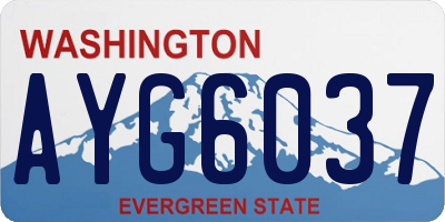 WA license plate AYG6037