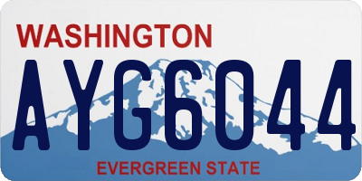 WA license plate AYG6044