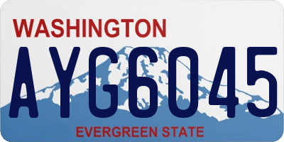 WA license plate AYG6045