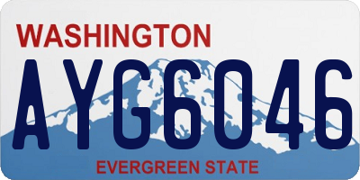 WA license plate AYG6046
