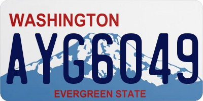 WA license plate AYG6049
