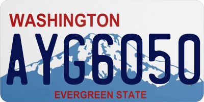 WA license plate AYG6050