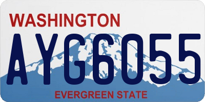 WA license plate AYG6055