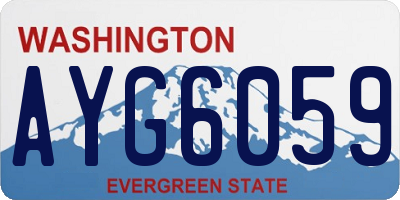 WA license plate AYG6059