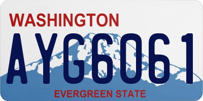 WA license plate AYG6061