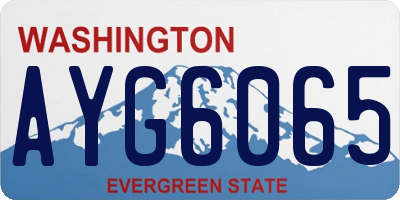 WA license plate AYG6065