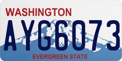 WA license plate AYG6073