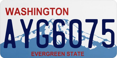 WA license plate AYG6075