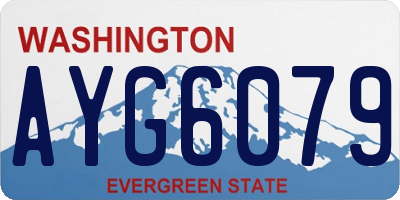 WA license plate AYG6079