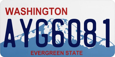 WA license plate AYG6081
