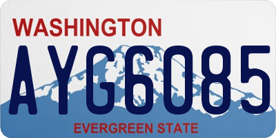 WA license plate AYG6085
