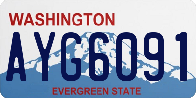 WA license plate AYG6091