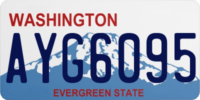 WA license plate AYG6095