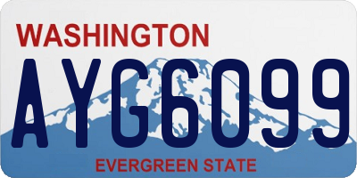 WA license plate AYG6099