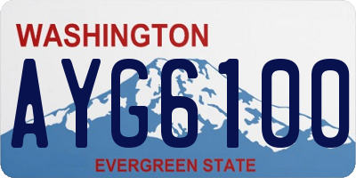 WA license plate AYG6100