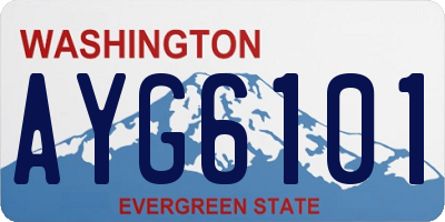 WA license plate AYG6101