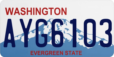 WA license plate AYG6103